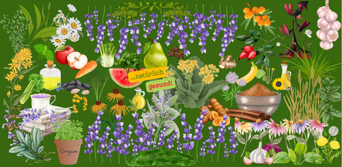 Pferde natürlich gesund!