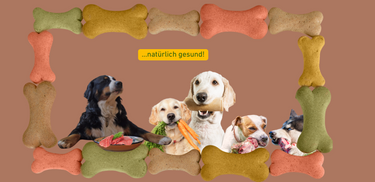 Futter und Snacks