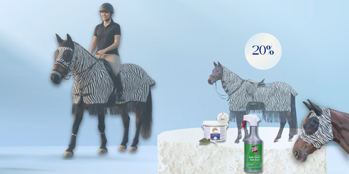 „Zebralook statt Zappelpony!“