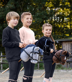 Hobby Horse