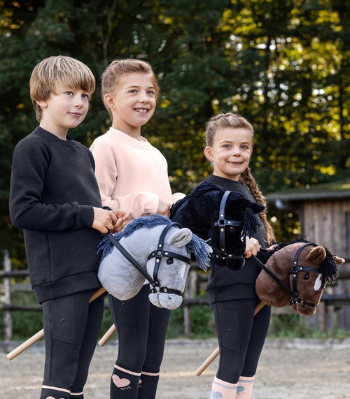Hobby Horse