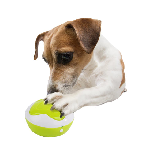 AFP Interactives – Welpendolmetscher / Dog Talk-Trainingsschaltflächen