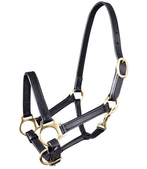 STAR Leder Fohlenhalfter