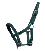 Mini-Shetty Halfter