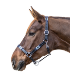Lederhalfter Polo